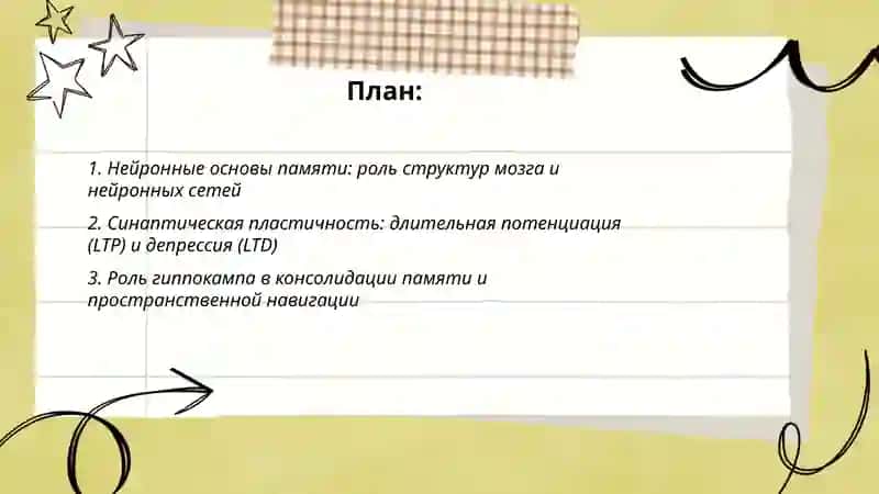 Память: механизмы, виды и образвитие 2