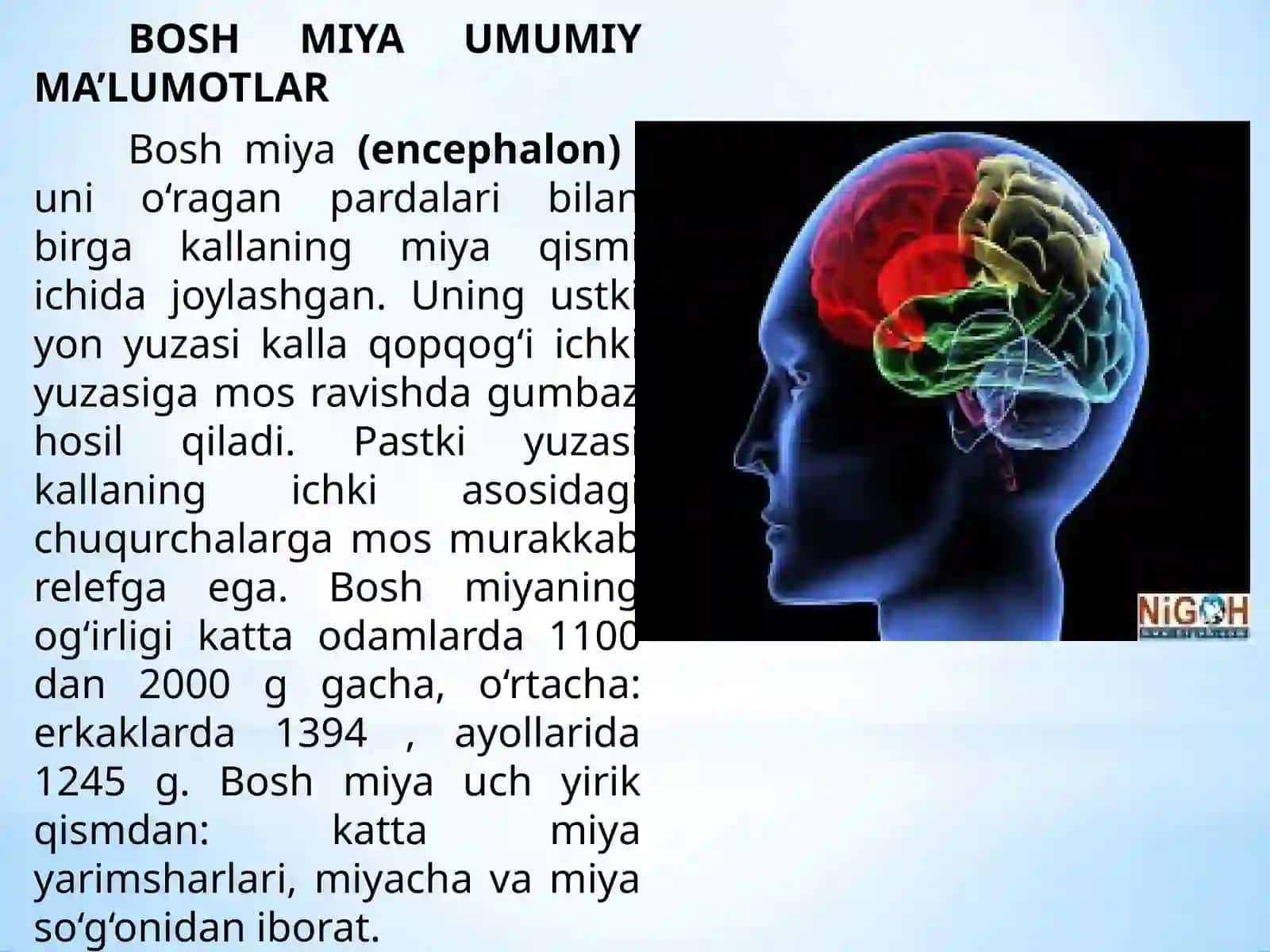 Bosh va orqa miya pervlarining fizilogiyasi 2