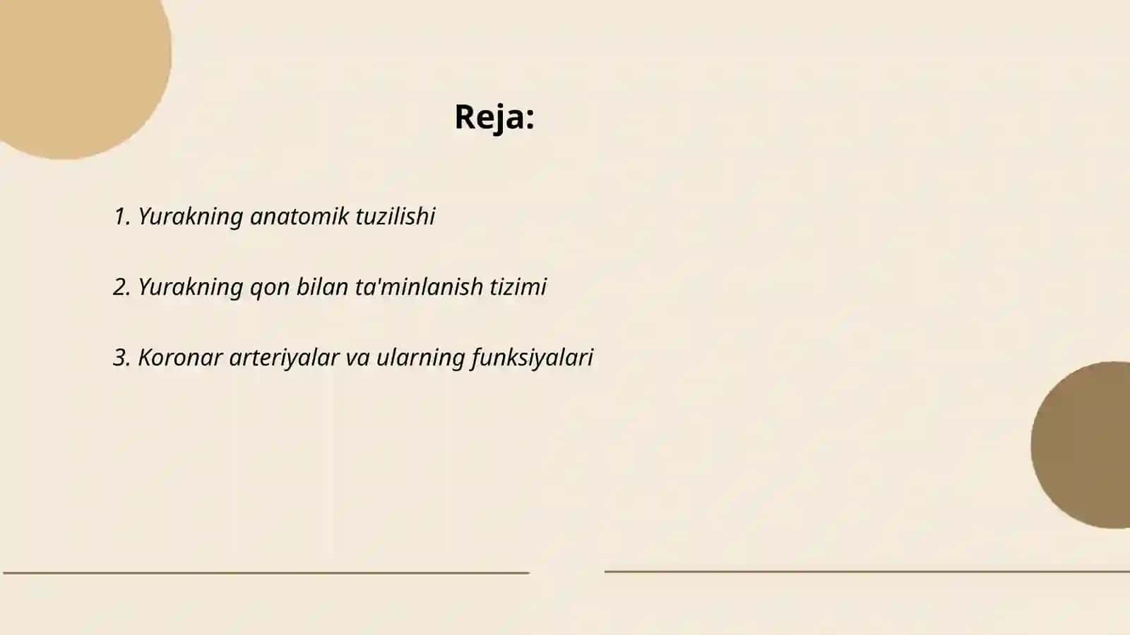 Yurakning qon bilan ta'minlanish xususiyatlari 2