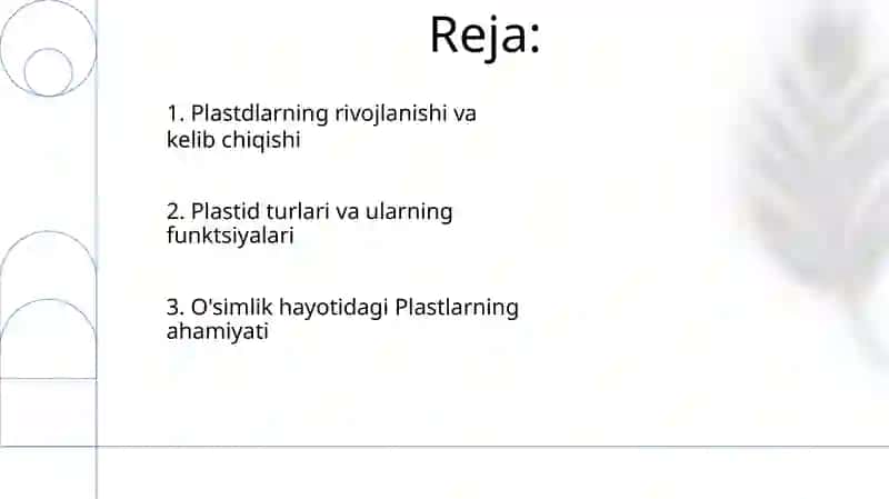 Plastidalar tuzishi va tiplari 2
