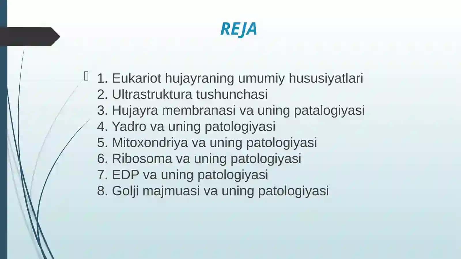 Eukariot hujayralarning ultrastrukturaviy tuzilishi.pptx 2