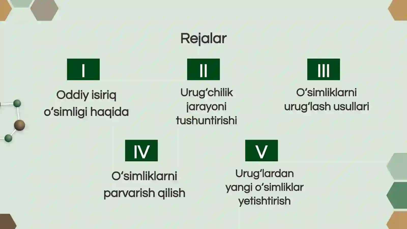 Oddiy isiriq o‘simligining urug‘chiligi 2