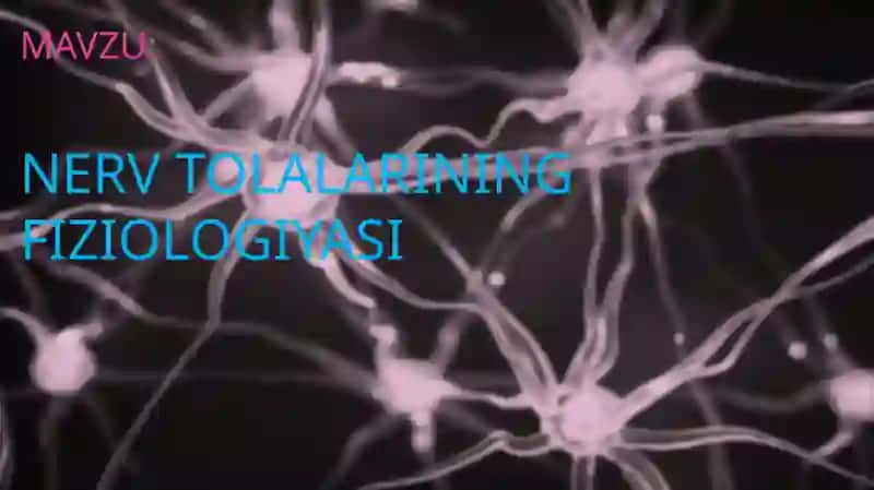 Nerv tolalari fiziologiyasi 2