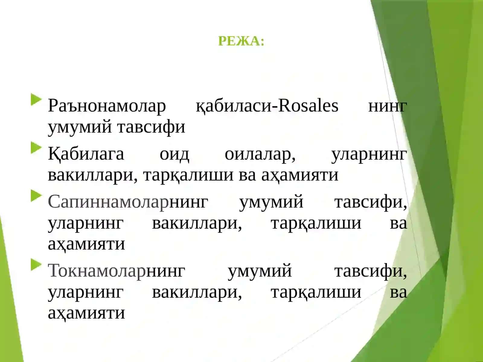 Раънонамолар қабиласи-Rosales 2