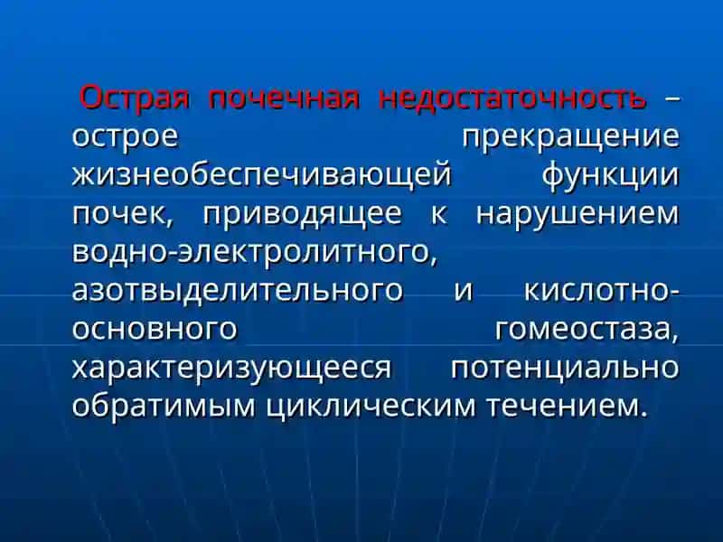 Студентлар учун касб-ҳунаржўм 2