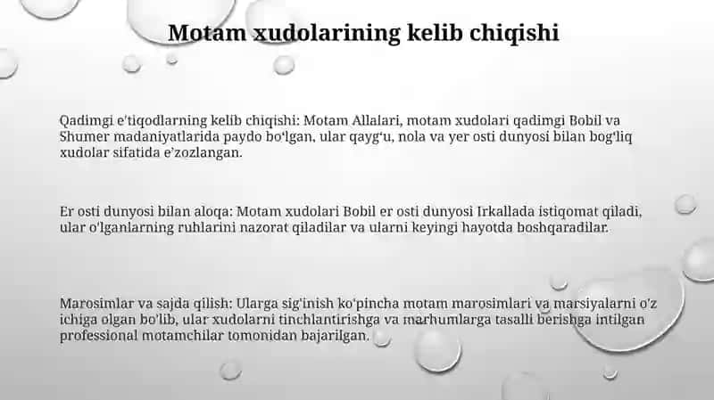 Motam Allalari 2