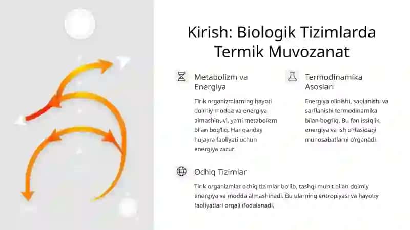Tirik Organizmda Termodinamika va Termografiya 2