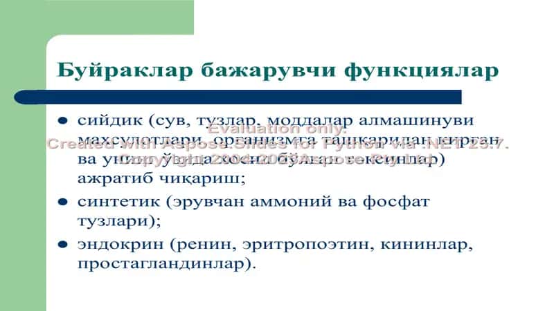 Буйраклар патофизиологияси 2