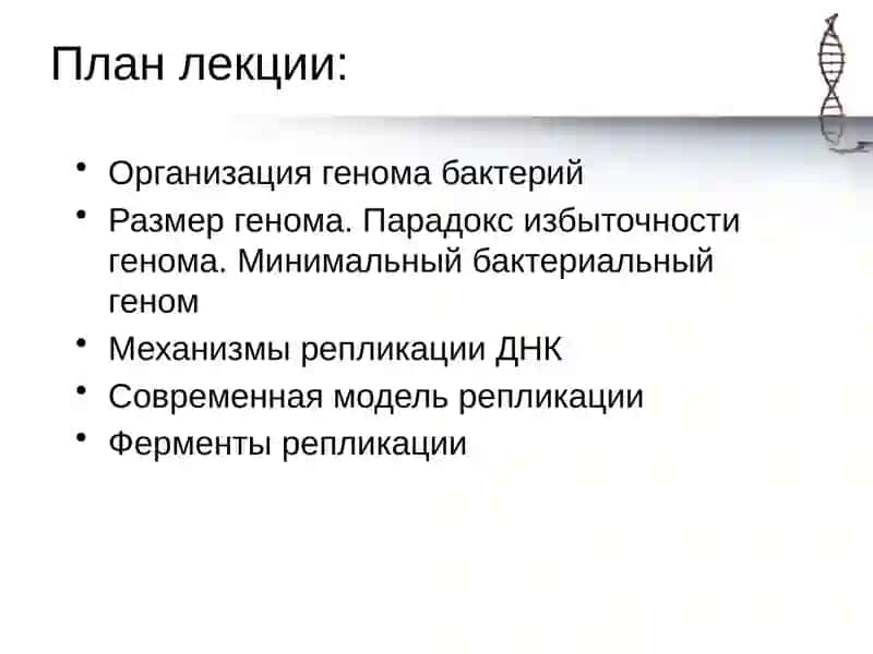 Молекулярные механизмы репликации 2