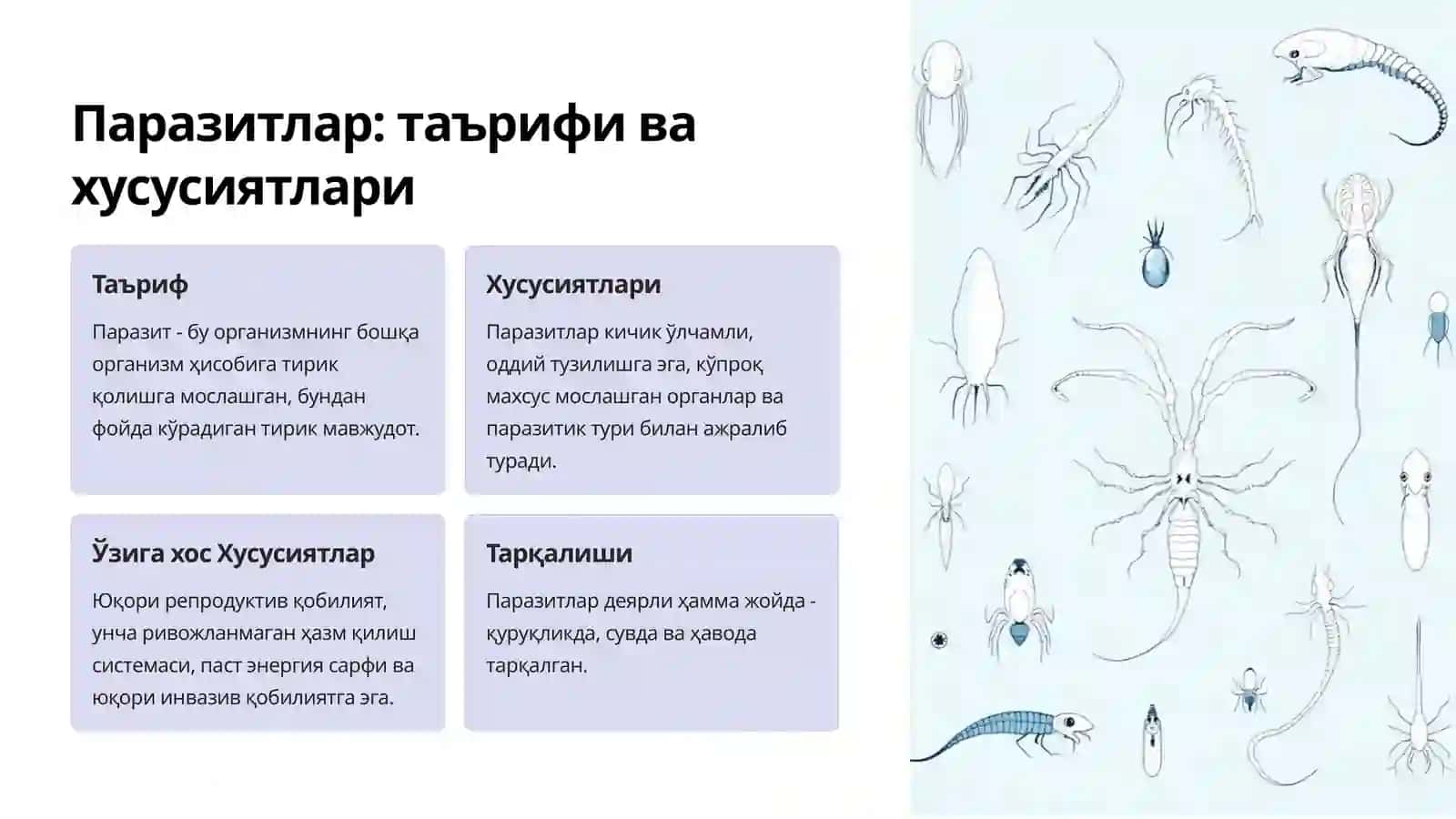 Паразитлар: таърифи ва хусусиятлари 2