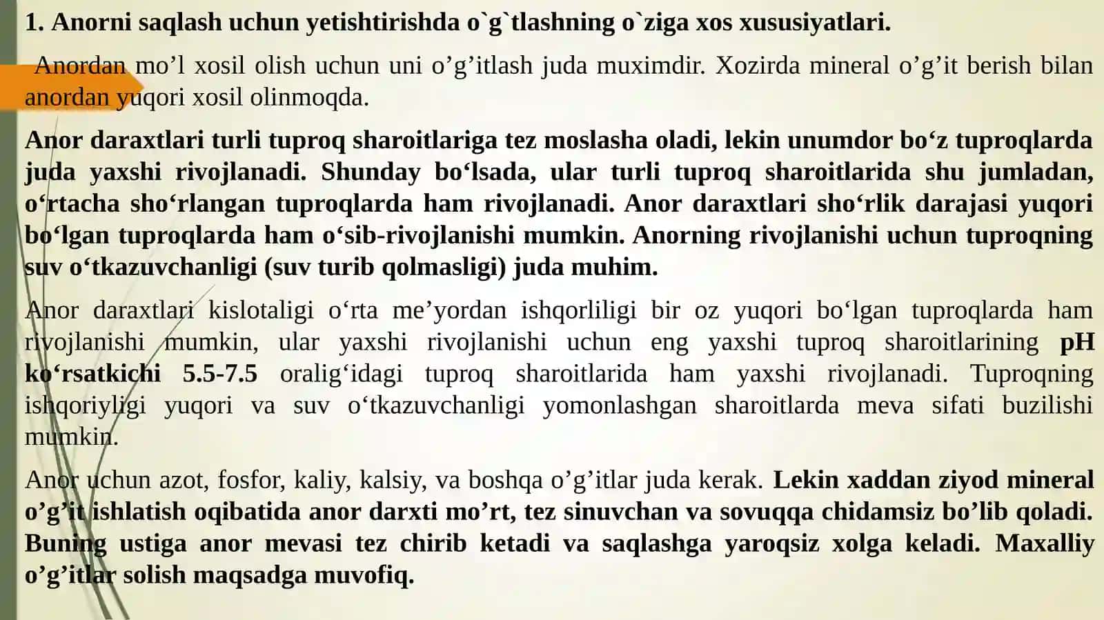 Anor mevalarini saqlash uchun yetishtirish 2