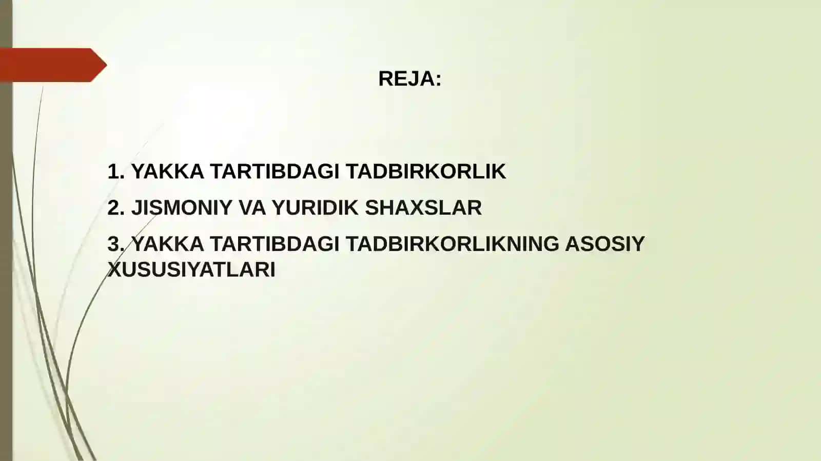 Yakka tadbirkorlik tushunchasi 2