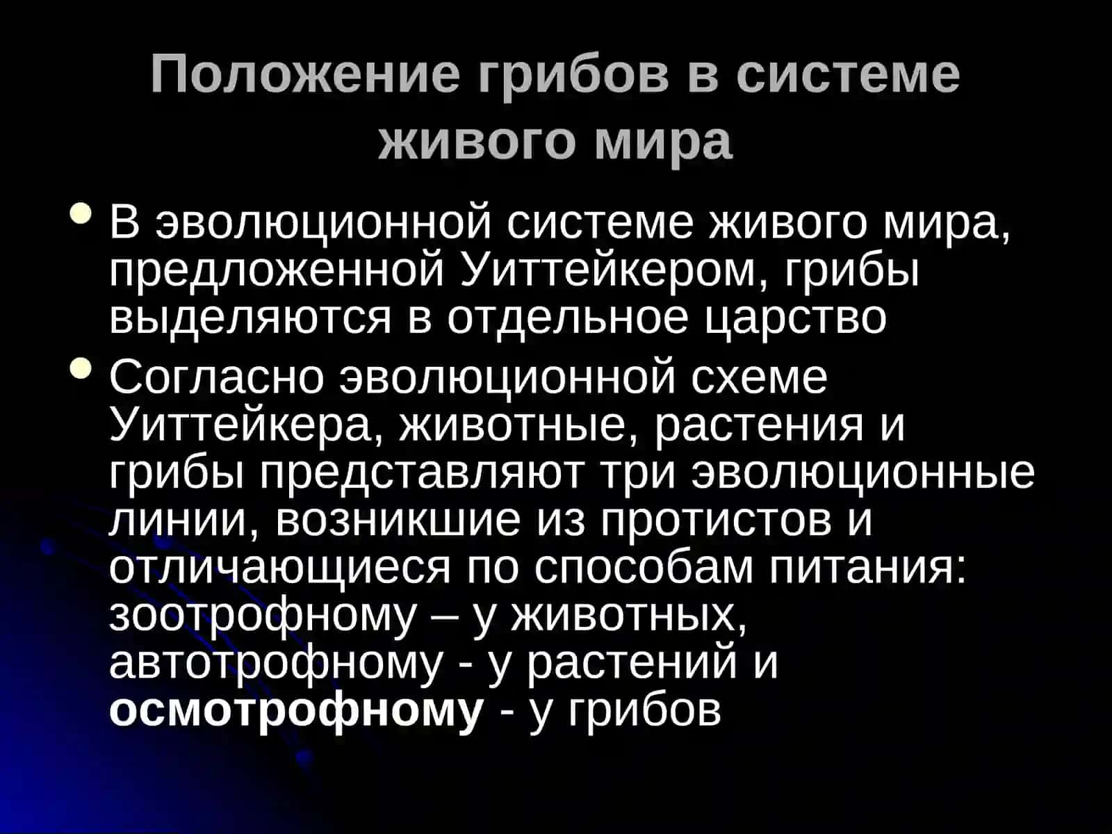 Эукариотические микроорганизмы 2