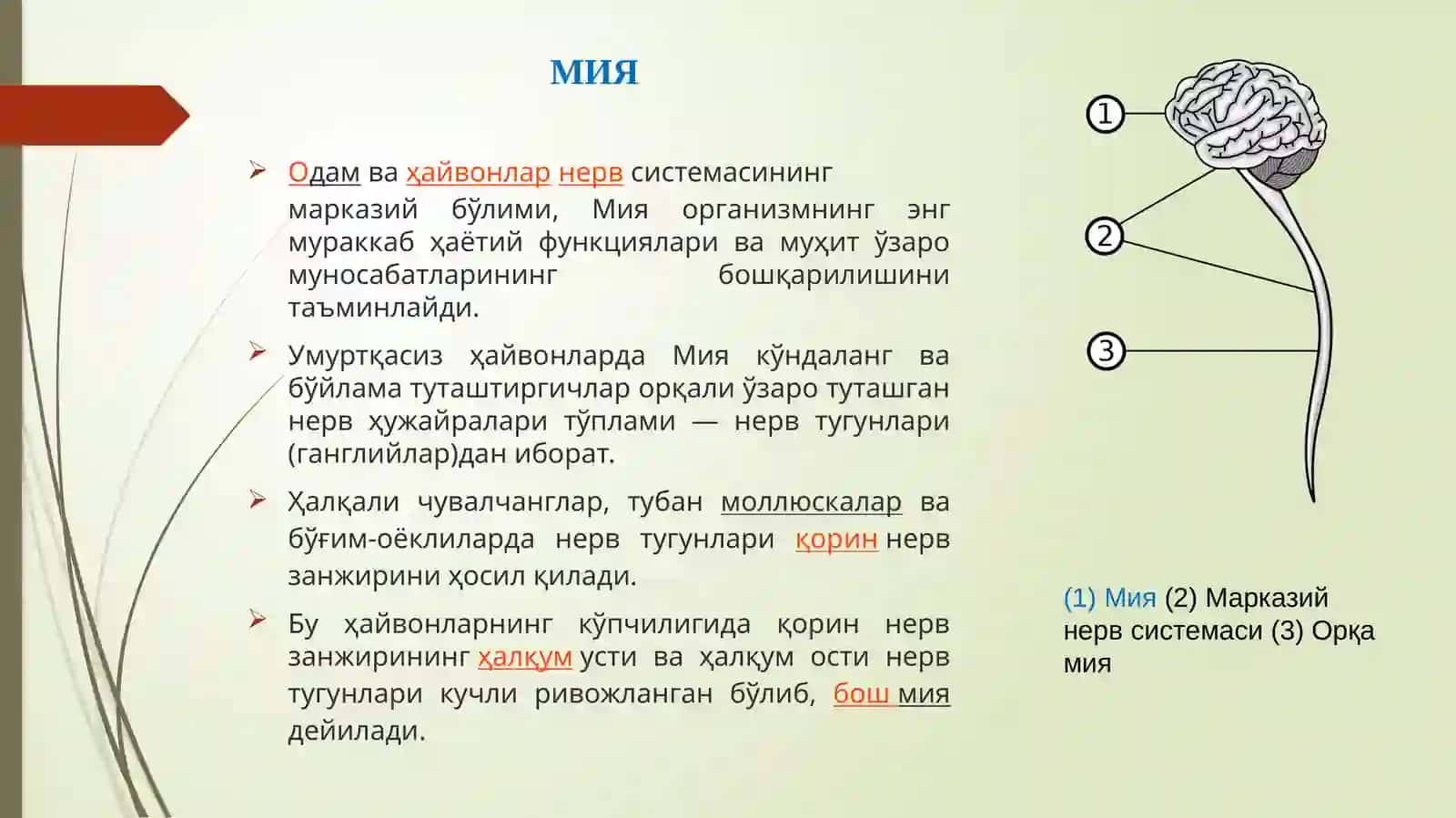 Мия 2