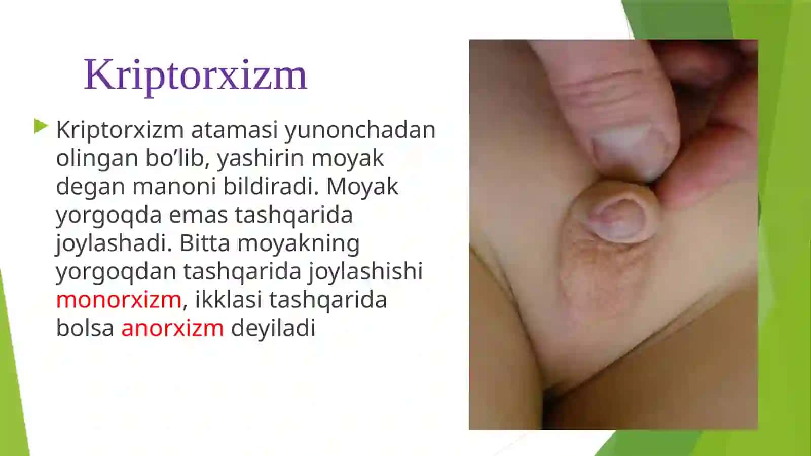 Kriptorxizm 2