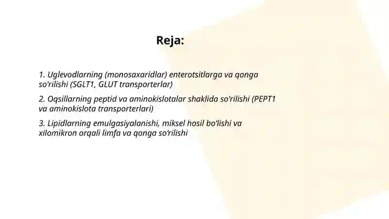 Oziq moddalarning qonda so'rilish mexanizmi 2