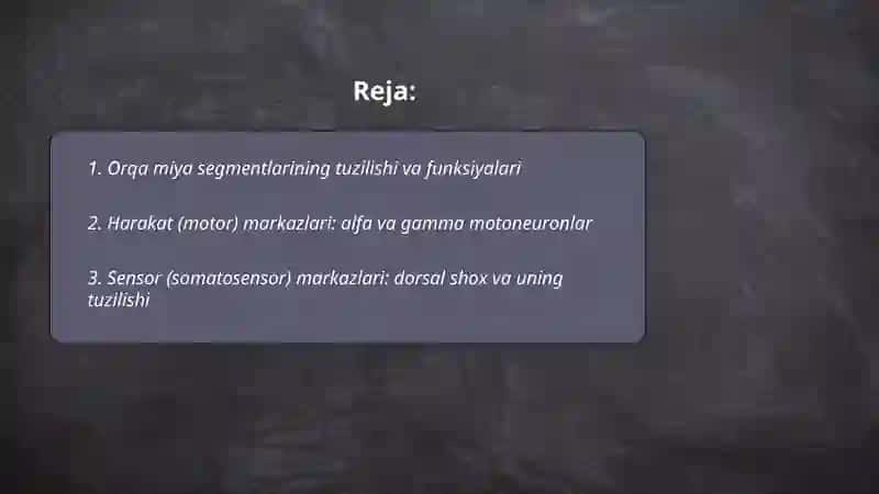 Orqa miya markazlari 2