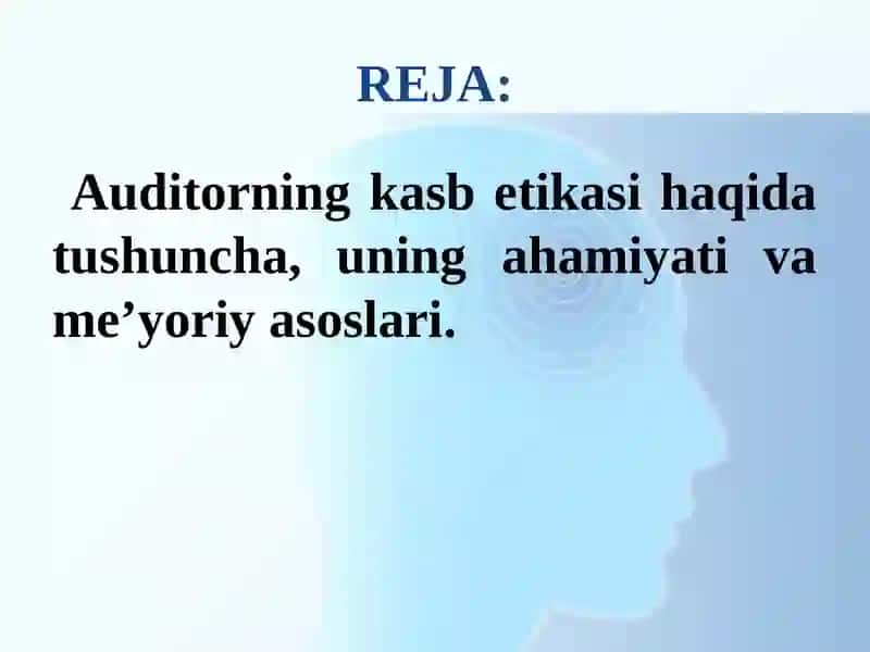 AUDITORNING KASB ETIKASI 2