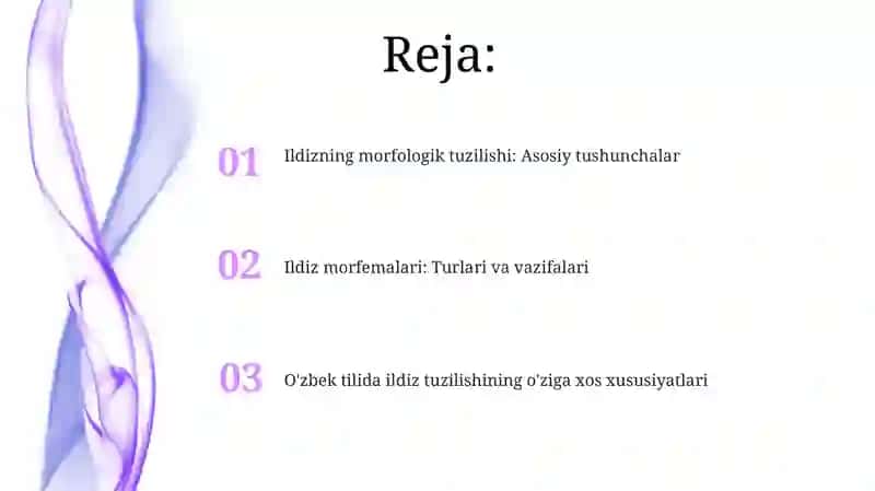 Ildiz Morfologik Tuzilishi 2
