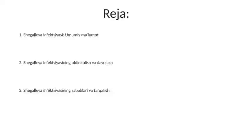 Shegalleya infaksiasi 2