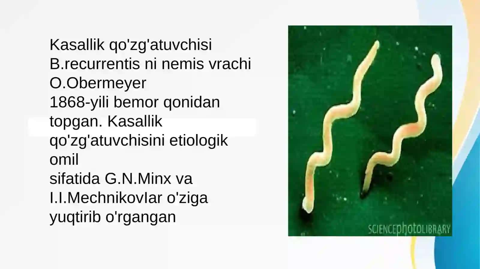 Borreliozlar morfologiyasi 2