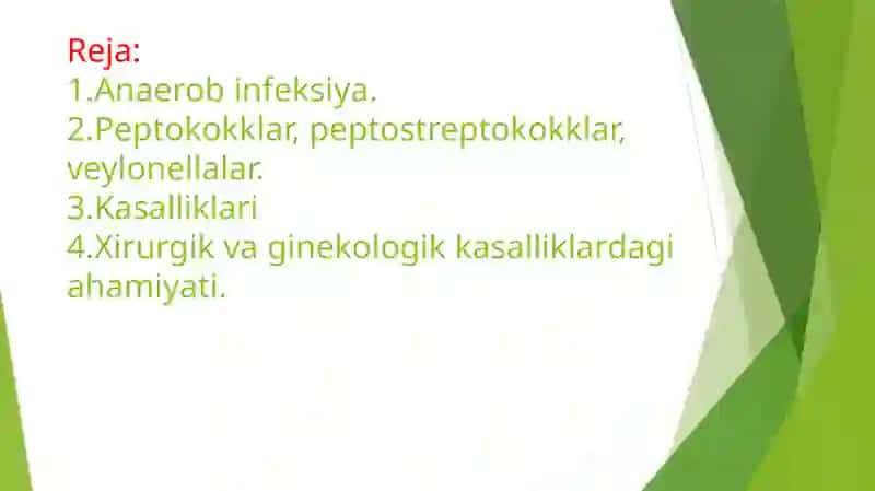 Shartlipatagen anaerob kokklar 2