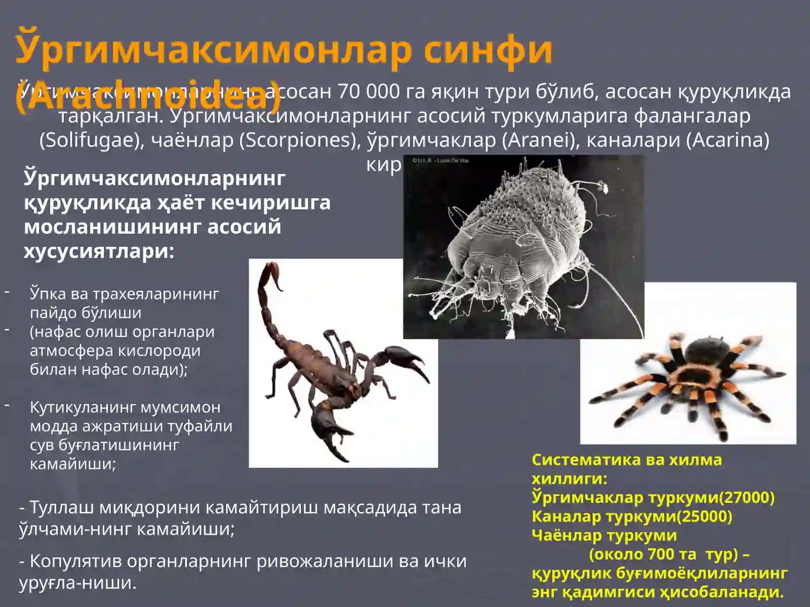 Тиббий Арахноэнтомология 2