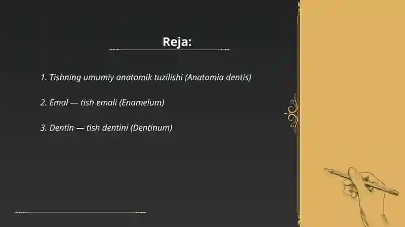 Tish anatomiyasi (Lotin tilida) 2