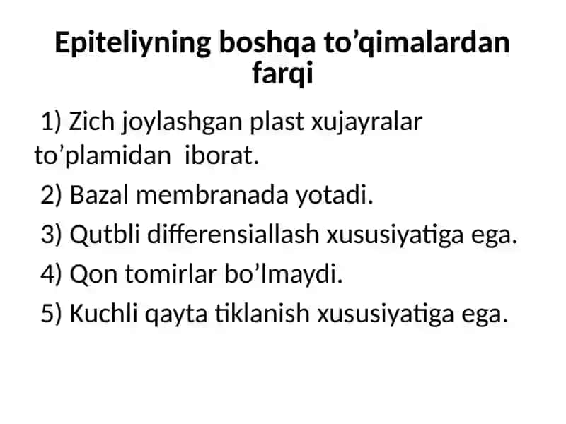Epiteliy to’qimasi 2
