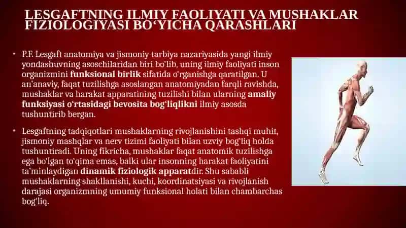 Lestgaft mushaklari toʻgʻrisida ta'limoti 2