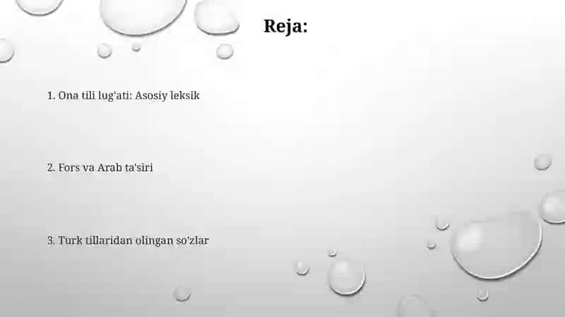 O'zbek tili leksikasi 2