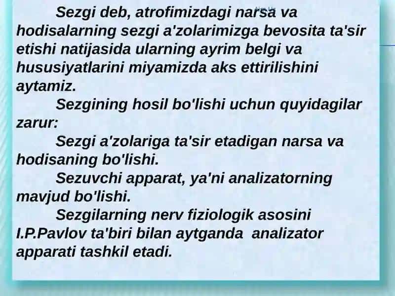 Sezgi 2