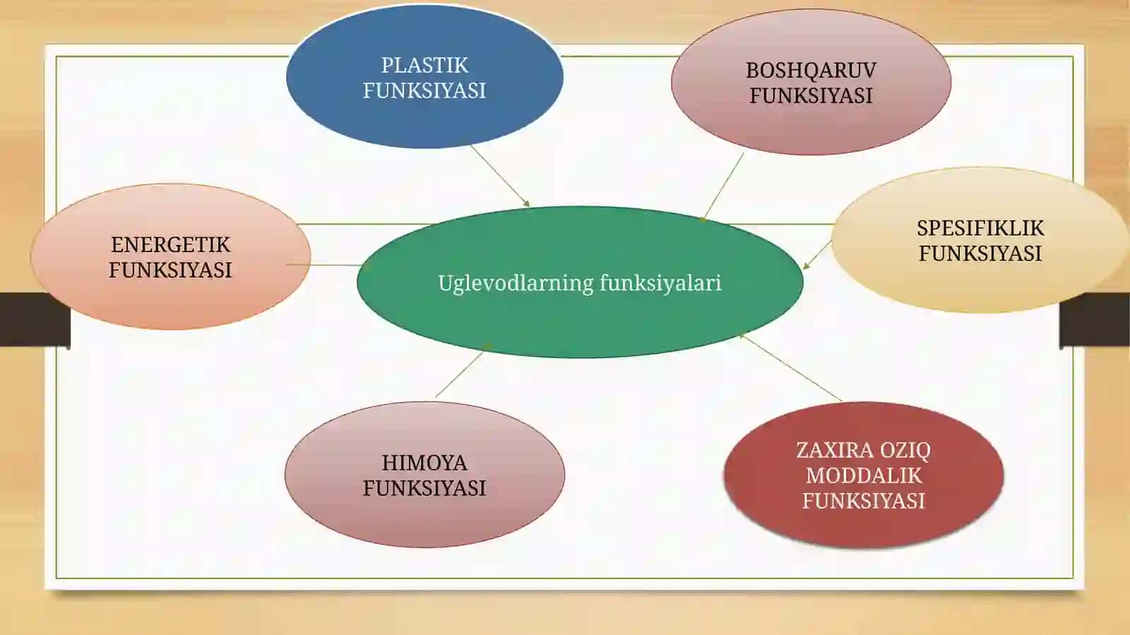 Uglevodlar almashinuvi va funksiyalari 2