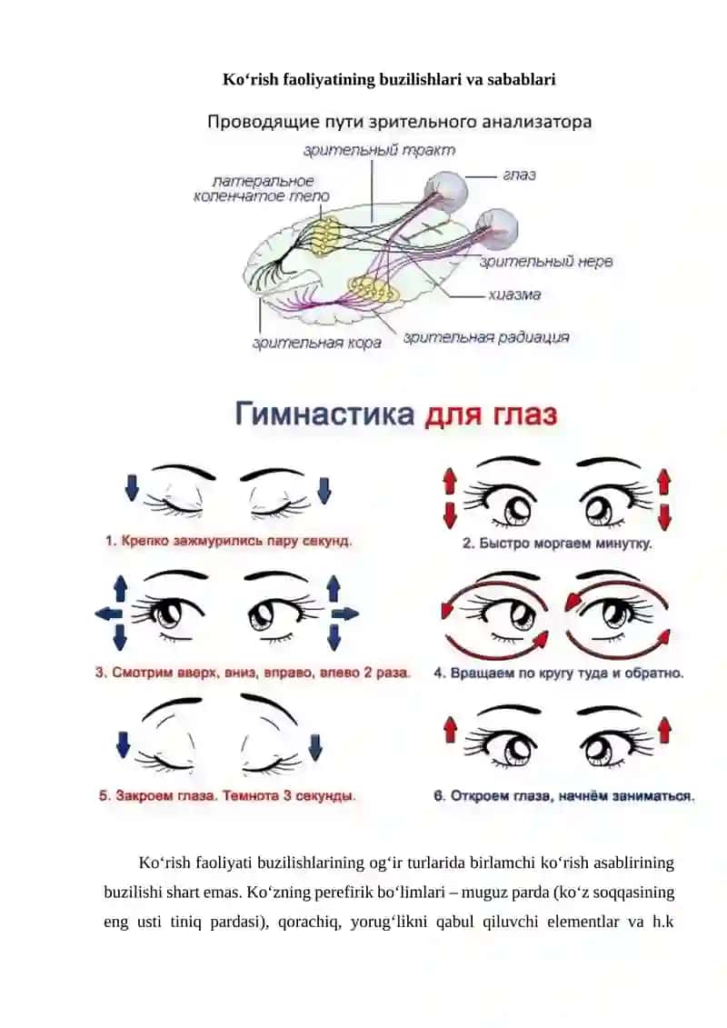 Sezuvchanlik retseptorlar xaqida tushuncha 2