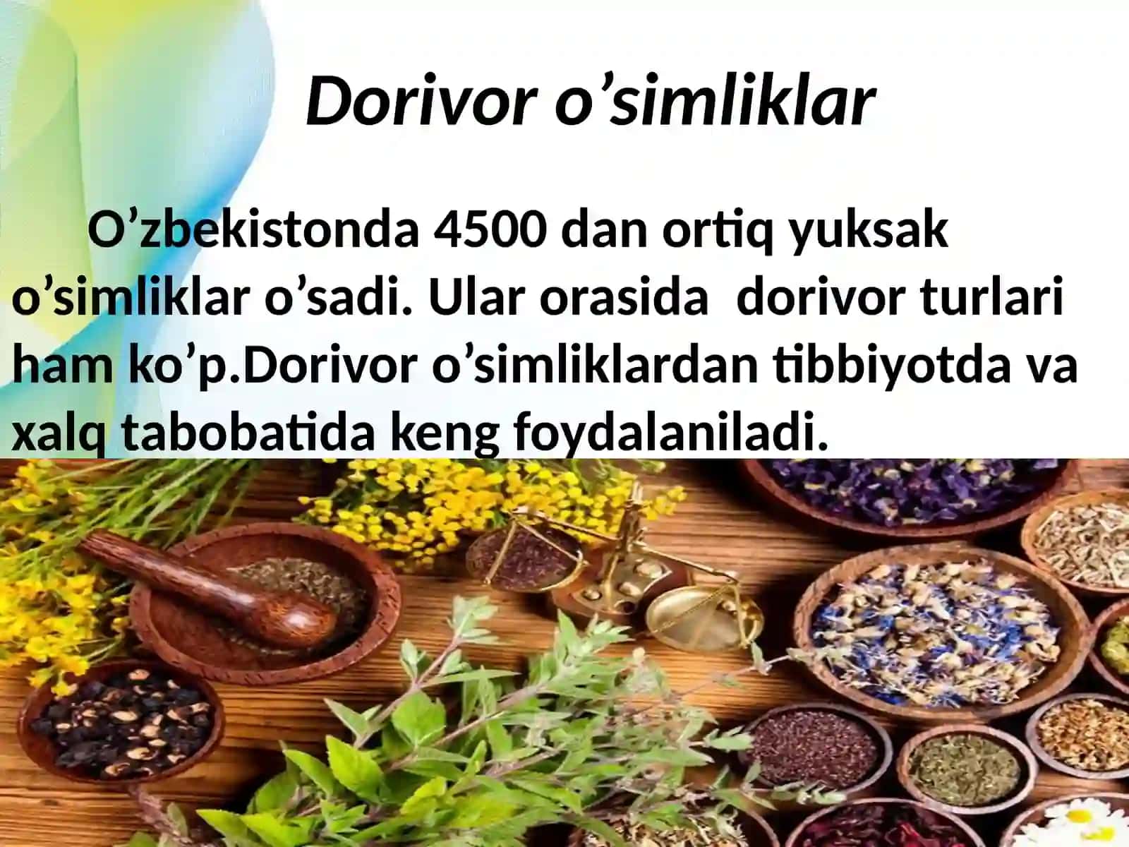 Dorivoro’simliklar 2