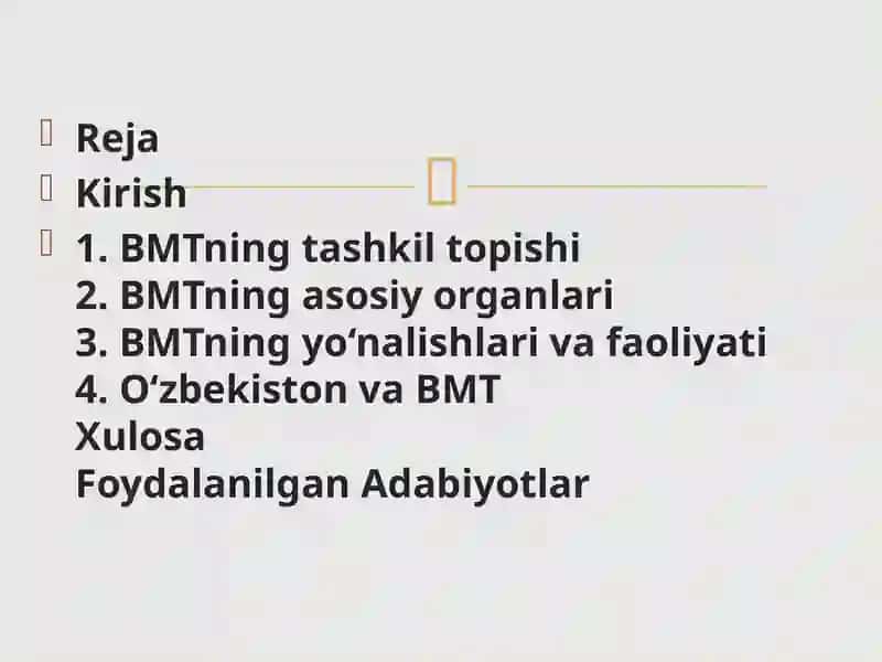 BIRLASHGAN MILLATLAR TASHKILOTI VA UNING FAOLIYATI 2