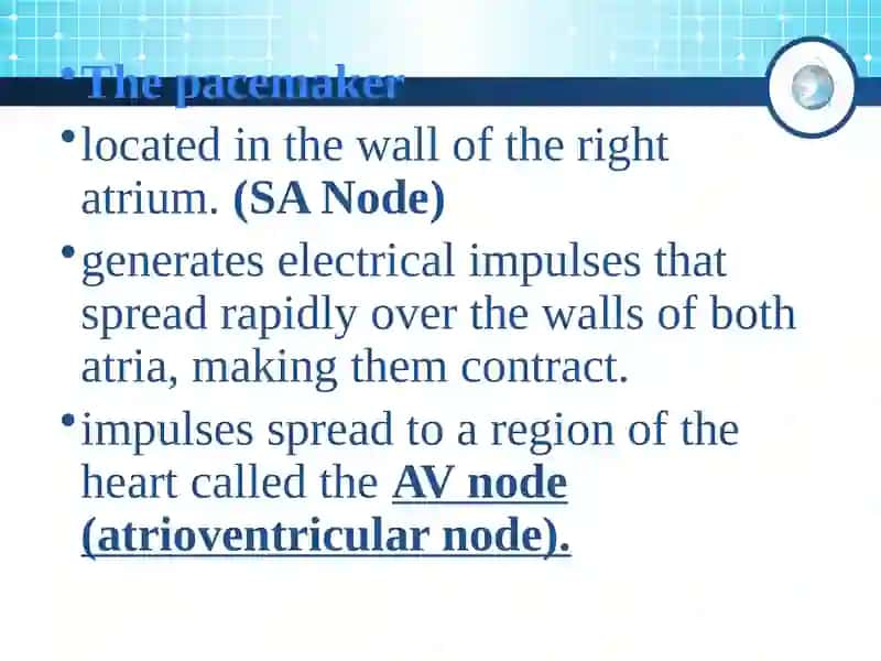 Nature of the Heart Beat 2