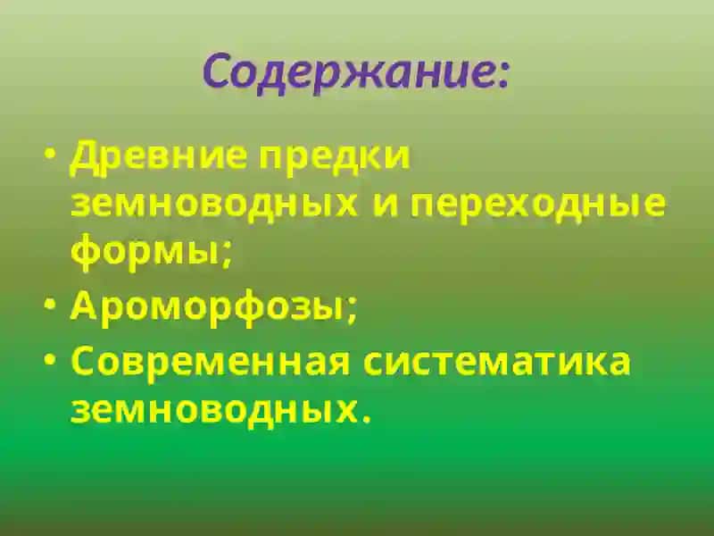Эволюция земноводных 2