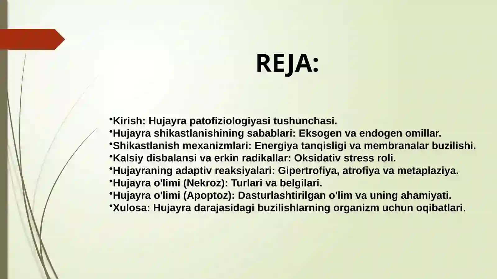HUJAYRA PATOFIZIOLOGIYASI 2