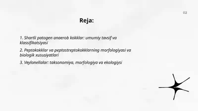 Shartli patogen anaerob kokklar 2