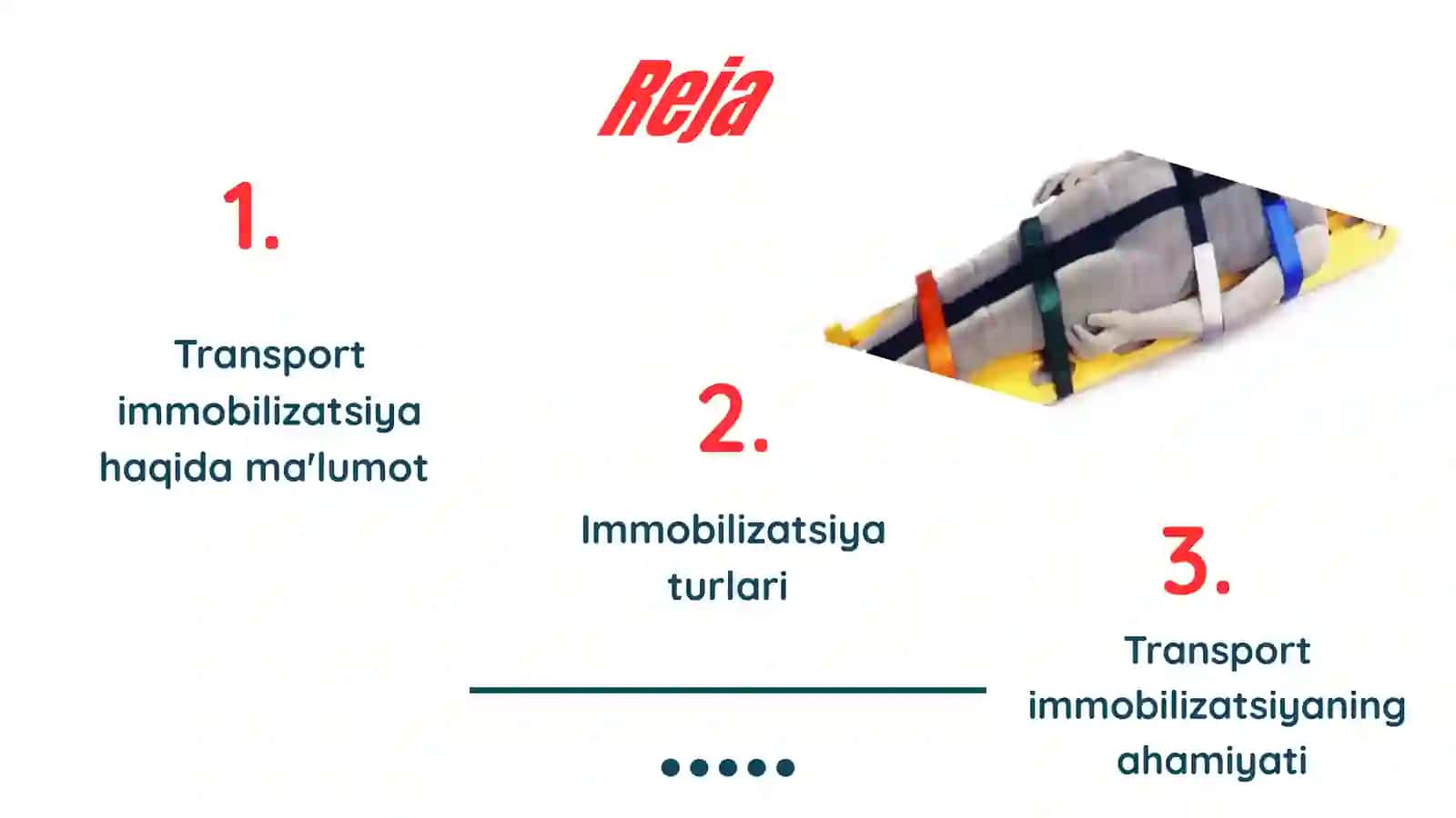 TRANSPORT IMMOBILIZATSIYA 2