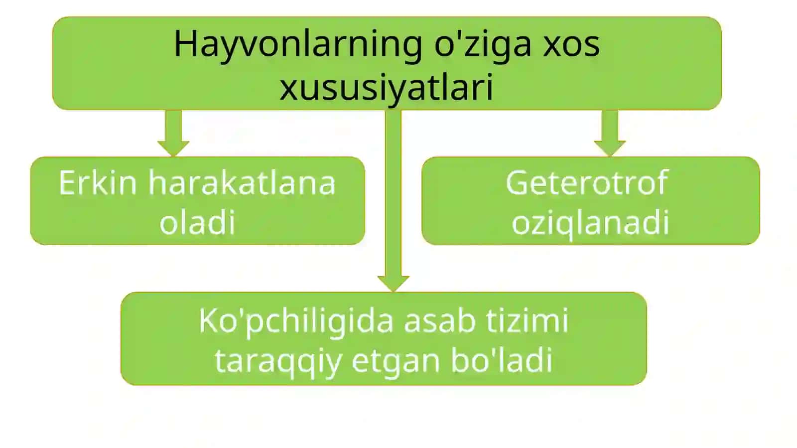 Hayvonotdunyosi 2
