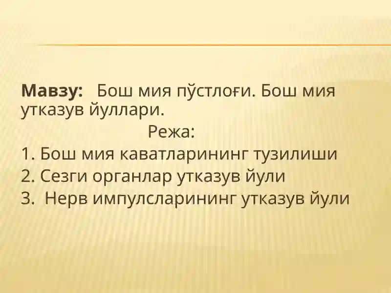 Бош мия пўстлоғи 2