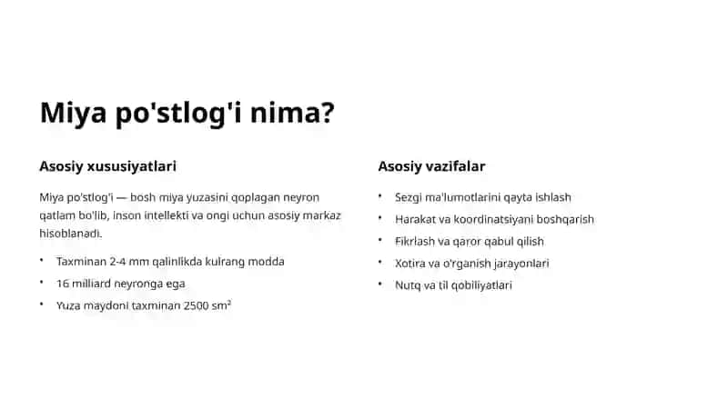 Miya Po'stlog'i Segmentlari: Tuzilishi va Funksiyalari 2