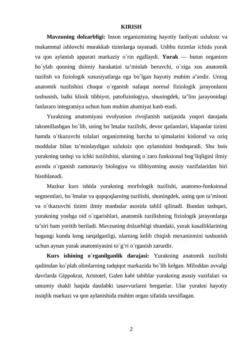 Yurakning anatomik tuzilishi 2