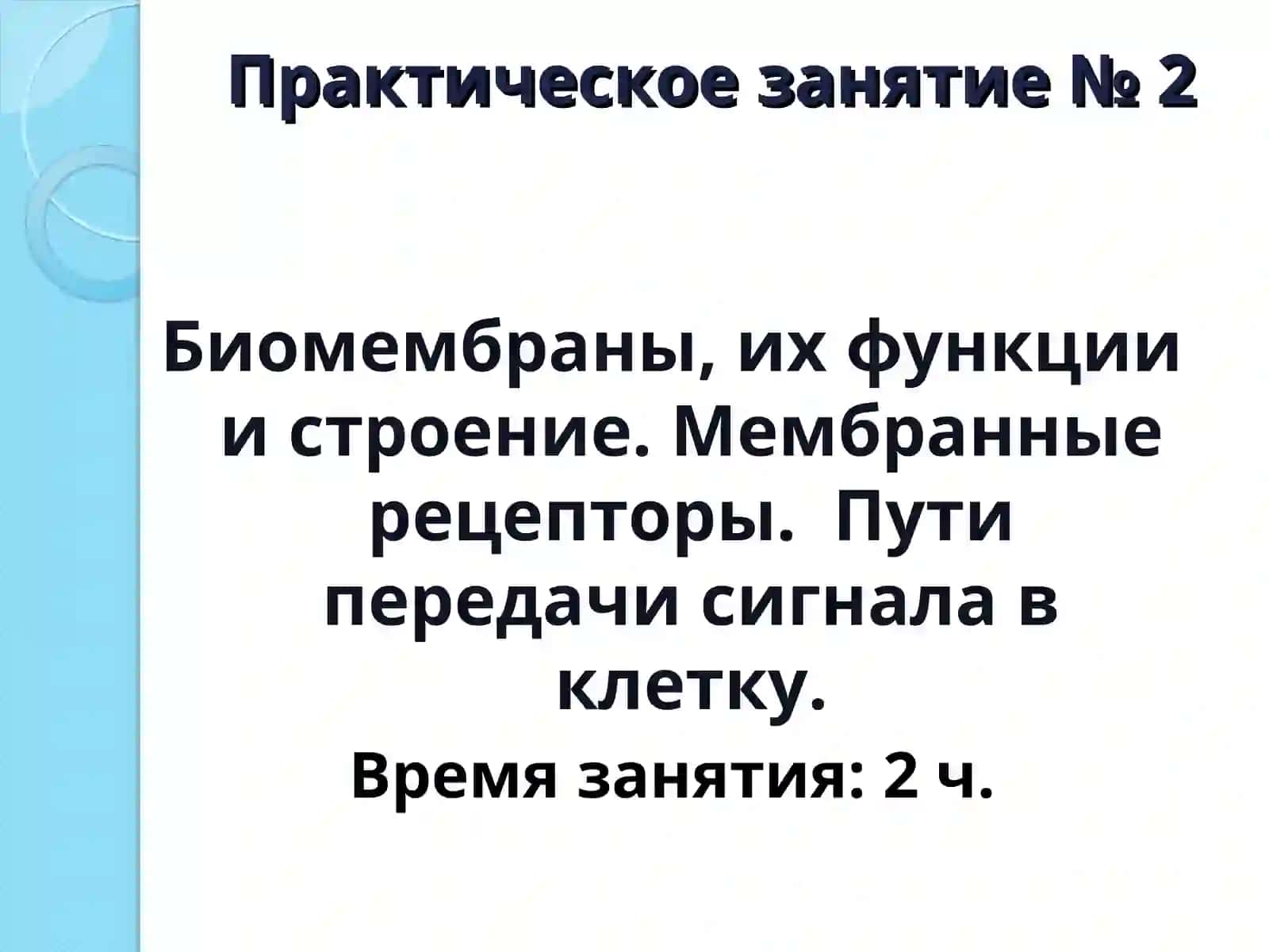 Практическое занятие № 2 2