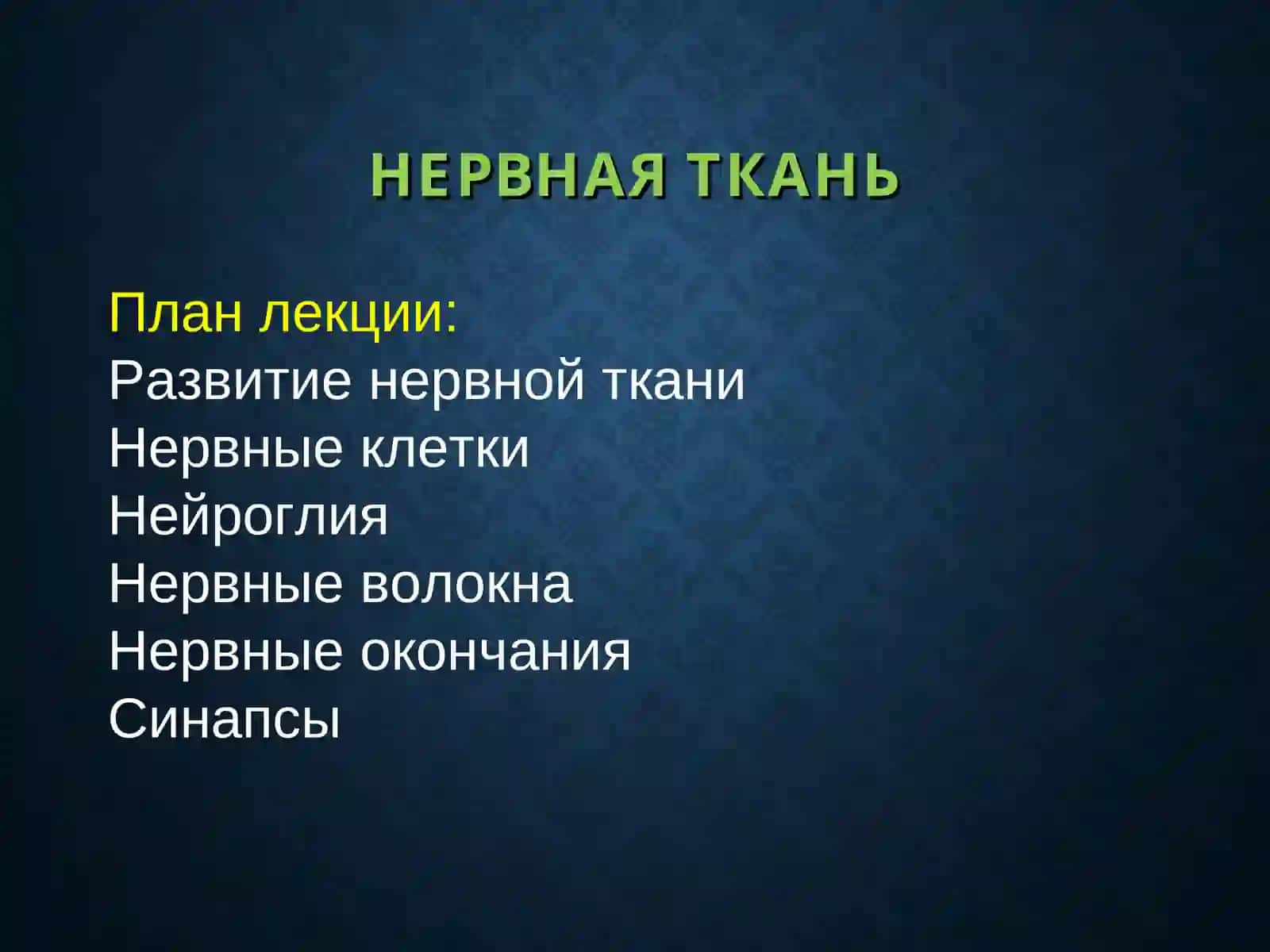 НЕРВНАЯ ТКАНЬ 2