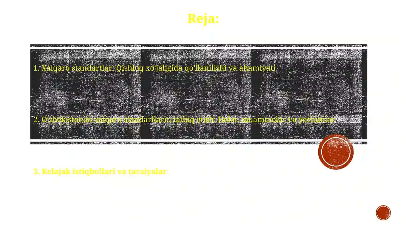 Xalqaro standartlarning qo'llanilishi 2