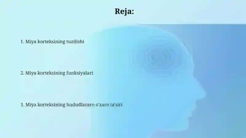 Bosh miyaning tuzilishi va funksiyasi 2