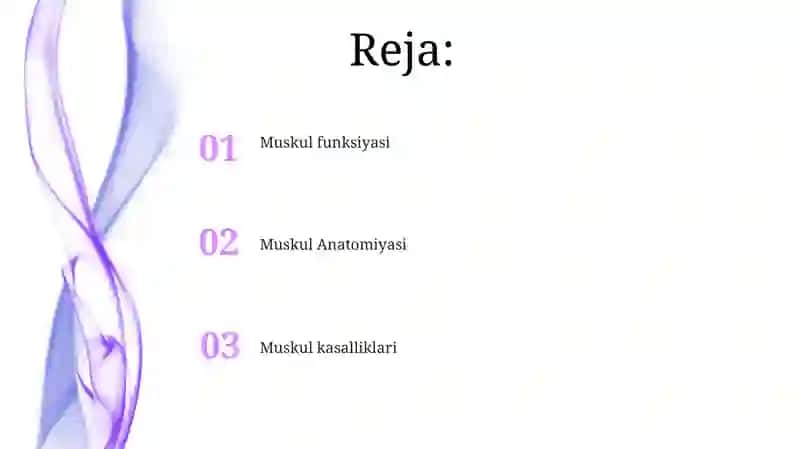 Inson mushak tizimi 2